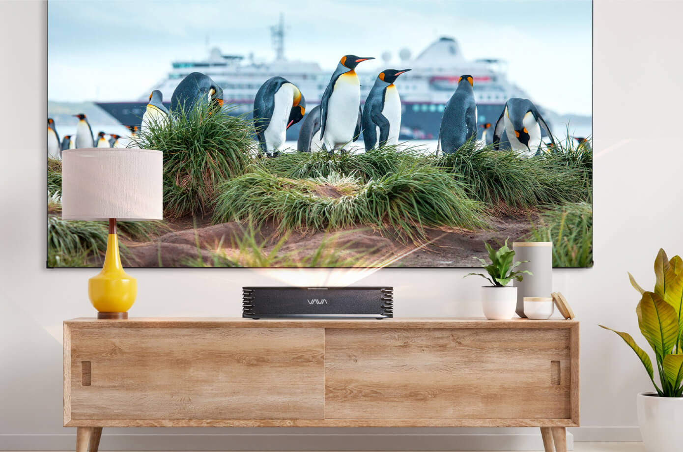 crowd funding Indeigogo